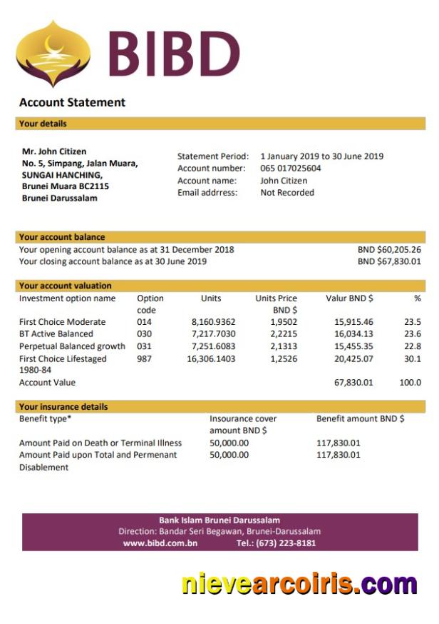 Brunei Bank Islam Brunei Darussalam bank statement in Word and PDF format